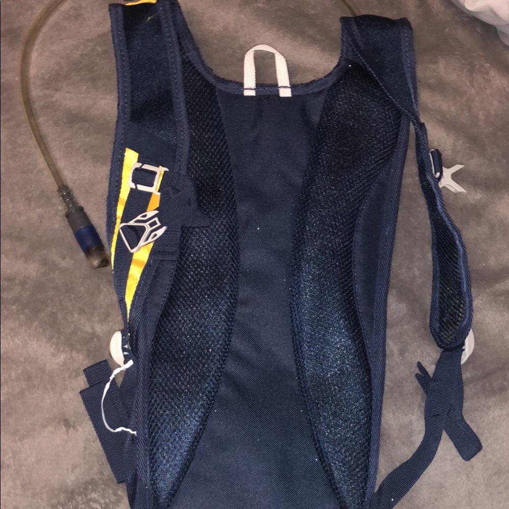 Camel bag